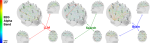 Visualisation comparative de l'activité cérébrale par EEG montrant trois groupes : cerveau sans outils (connectivité maximale), cerveau avec moteur de recherche (connectivité intermédiaire), et cerveau avec ChatGPT (connectivité minimale). Les connexions neuronales sont représentées par des lignes colorées entre différentes régions du cerveau.