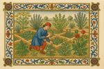 Jardin de plantes médicinales avec bordure décorative, style Tacuinum sanitatis