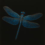 Libellule bleue sur fond noir avec des reflets de laque, style Shibata Zeshin