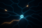 Reinforcement Learning et IA modernes